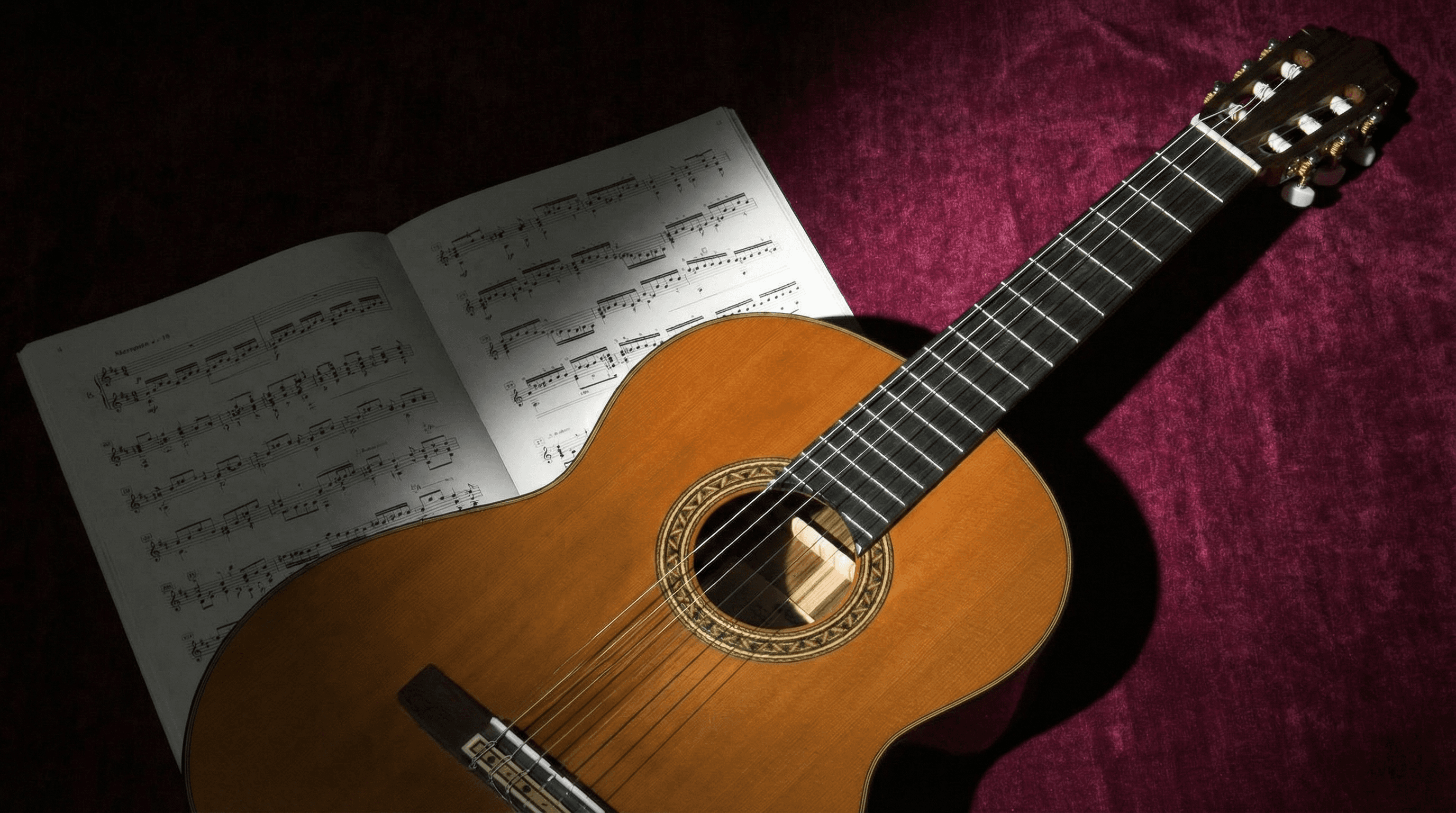 ВСЕ ВИДЫ<br/>ГИТАР